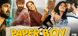 Paper Boy 2024 Hindi Dubbed Movie ORG 720p WEBRip 1Click Download