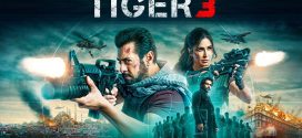 Tiger 3 2024 Hindi Movie 720p WEB-DL 1Click Download