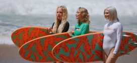 Surf Bunnies Seduce Instructor (2024) Vixen Originals English Short Film 720p HDRip H264 AAC 500MB Download