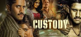 Custody 2024 Hindi Dubbed Movie ORG 720p WEB-DL 1Click Download