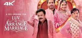 Luv Ki Arrange Marriage (2024) Hindi HDRip x264 AAC 1080p 720p 480p ESub
