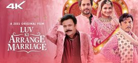 Luv Ki Arrange Marriage 2024 Hindi Movie 720p WEB-DL 1Click Download