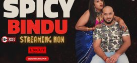 Spicy Bindu (2024) Uncut NeonX Originals Short Film 720p HDRip x264 AAC 300MB Download